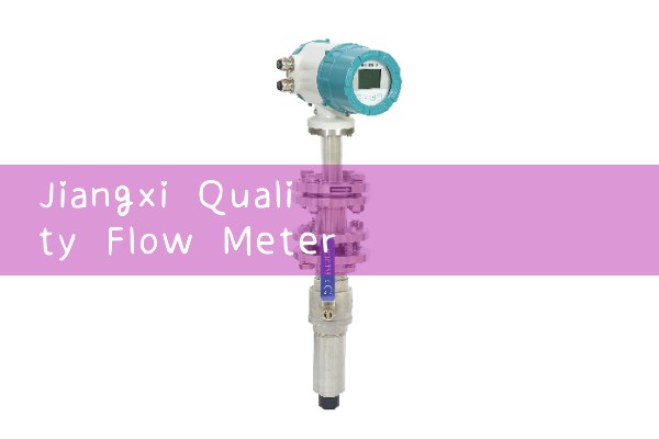 Jiangxi Quality Flow Meter Selection Manufacturer